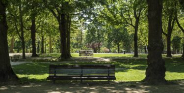 Banc au parc du Cinquantenaire