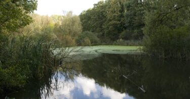 Parc Moeraske à Bruxelles