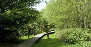 Parc du Scheutbos à Bruxelles